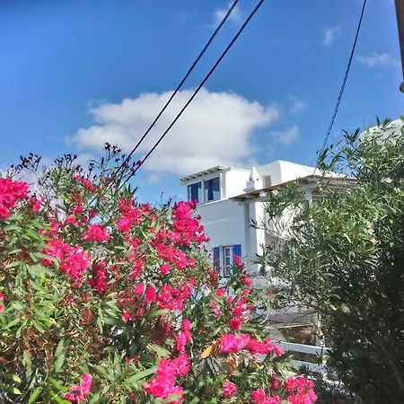 Villa Francesca II Mykonos Town Luaran gambar